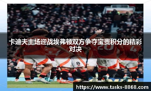 卡迪夫主场迎战埃弗顿双方争夺宝贵积分的精彩对决